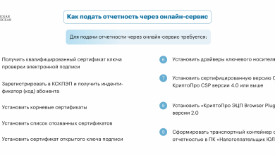 Photo of Налоговая отчетность: важные советы
