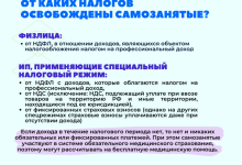 Photo of Налоговые льготы для самозанятых